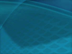 方案避坑指南：新手常犯的10个错误